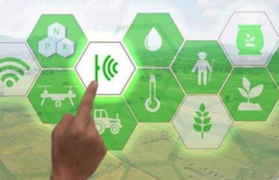 9001cc 以诚为本 9001cc海岳智粮·粮企云产品解决方案